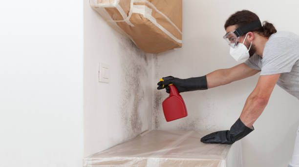 Professional Mold Testing technician working in Elk Grove Village, IL