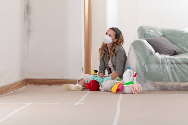 Reliable Mold Testing contractor in Elk Grove Village, IL by WQB Mold Removal